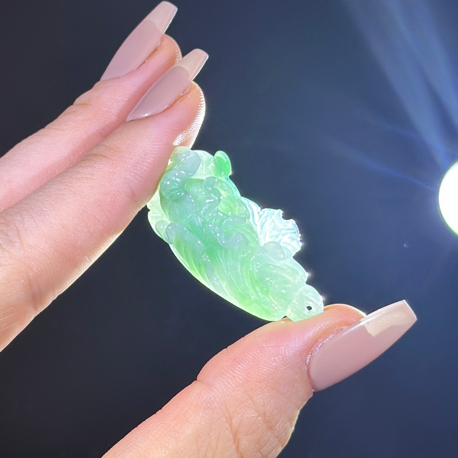 Type A Green Jade Cabbage